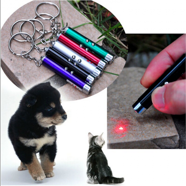 Funny laser pointer for cats