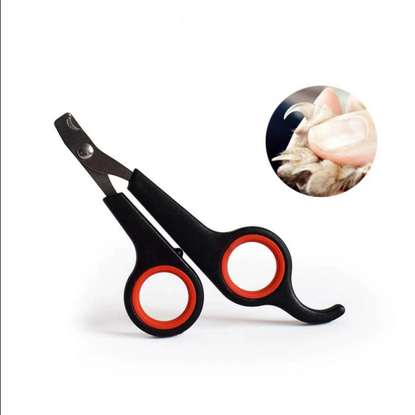 Cat and kitten clippers