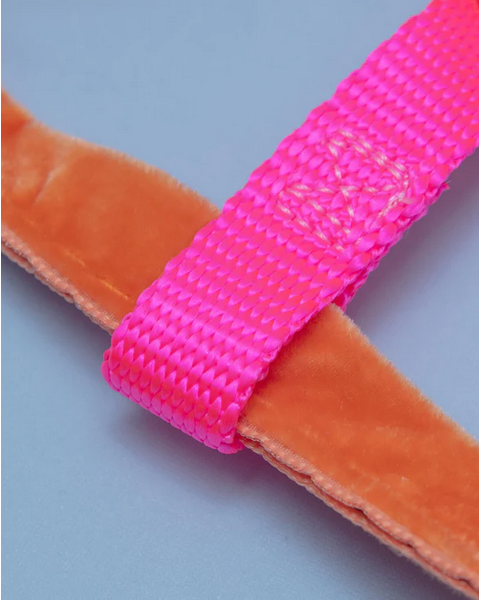 Freedom No-Pull Harness in Neon Pink & Orange