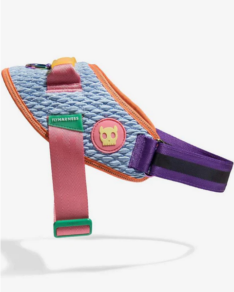 Flyharness in Galaxy for Dogs
