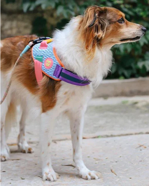 Flyharness in Galaxy for Dogs